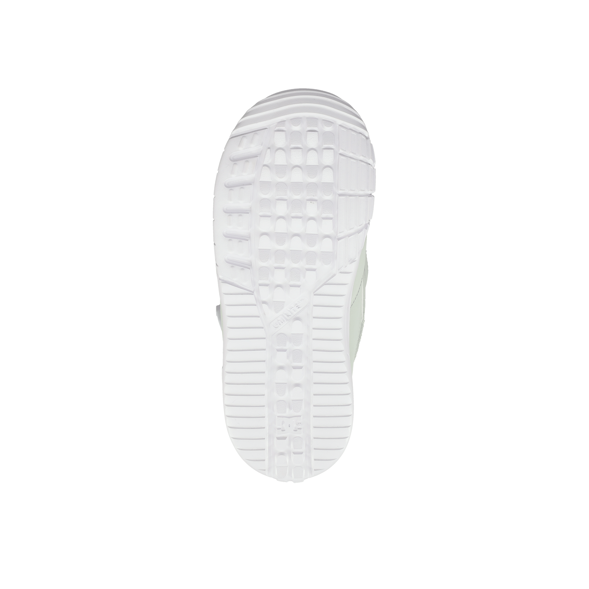 D.C. Lotus 2026 - Smartgoodsstore