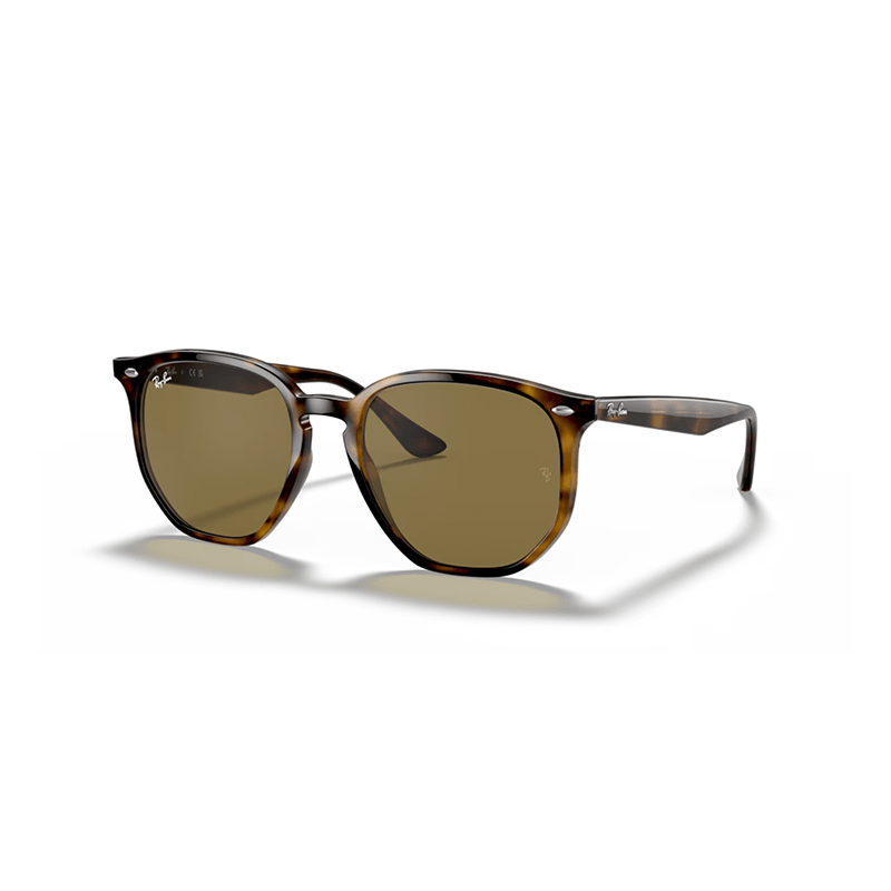 Ray Ban - RB4306 - Smartgoodsstore