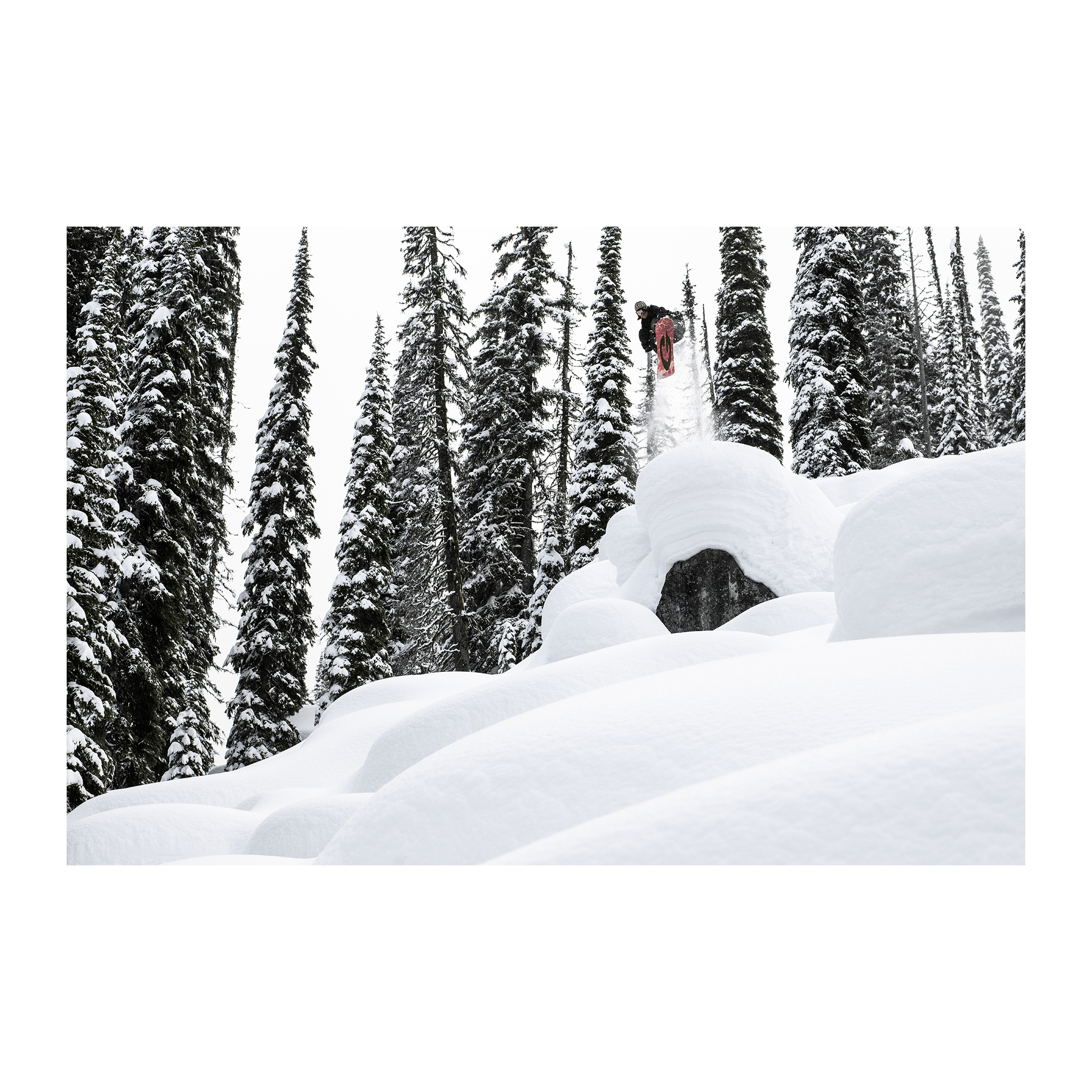 Gnu Wagyu 2026 - Smartgoodsstore